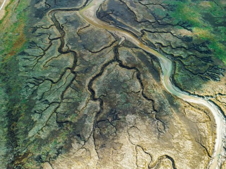 Image caption: Ecology and water management sectors must come together to mitigate the twin crises as they would to manage a river delta