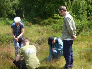 A group of four ecologists and environmental managers looking at a plant.