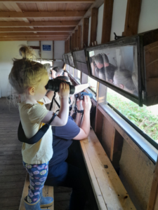 Child looking out of bird hide through binoculars