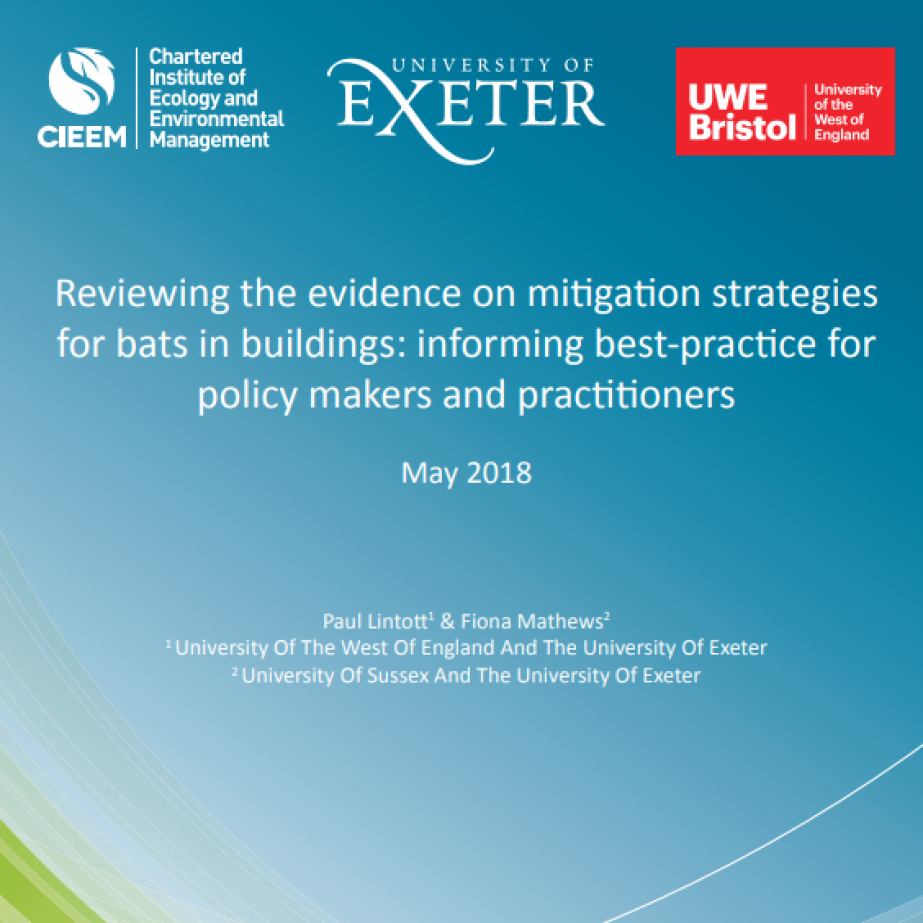 Reviewing the evidence on mitigation strategies for bats in buildings ...