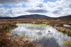 Peat bog in the Scottish Highlands