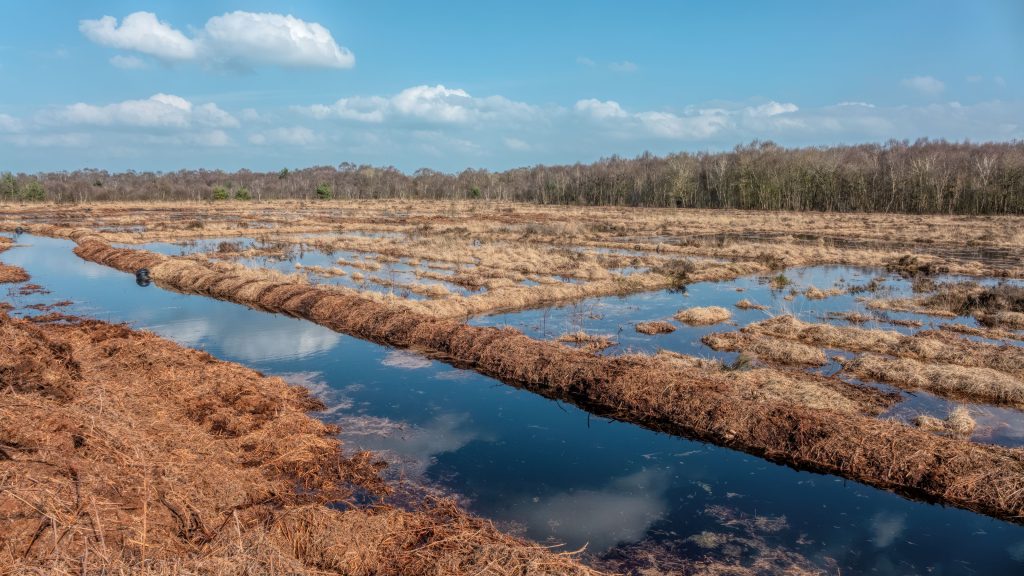 Restoration of raised bog at Fenn’s, Whixall and Bettisfield Mosses NNR as part of a £5 million EU LIFE funded ‘Marches Mosses BogLIFE Project’ (photo credit Stephen Barlow)