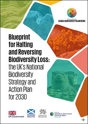 UK publishes National Biodiversity Strategy and Action Plan | CIEEM