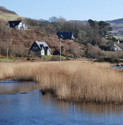 Ground Water Dependent Terrestrial Ecosystems
