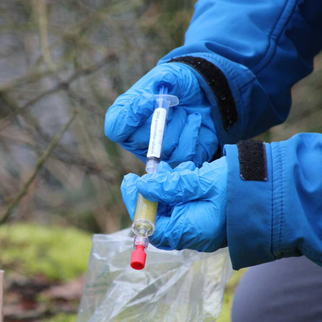 Molecular ecology made simple: Understanding the science behind environmental DNA and DNA sequencing.