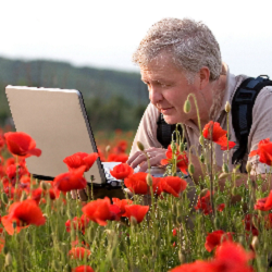 Ecological Report Writing (Online)