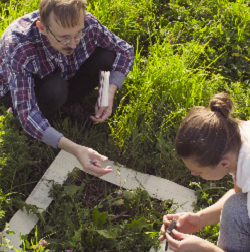 Train the Trainer for Ecologists