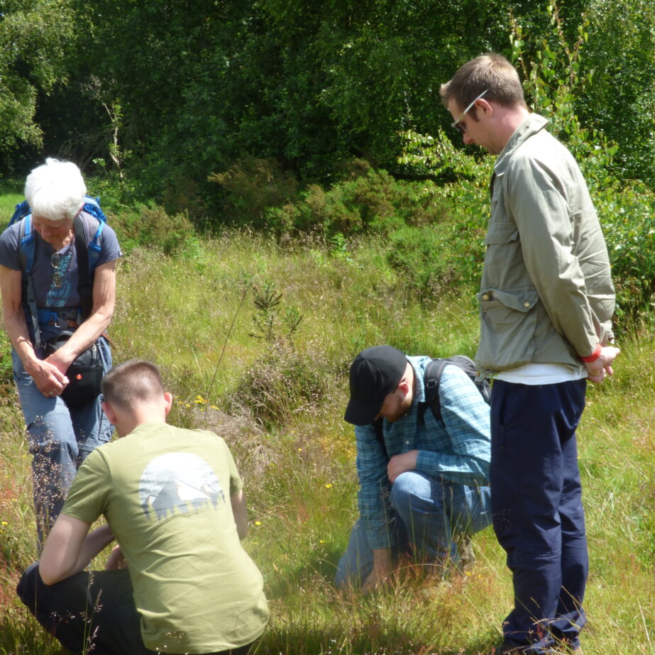 A group of four ecologists and environmental managers looking at a plant.