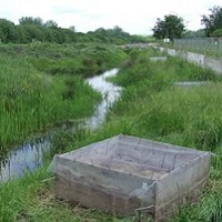 Water Vole Mitigation