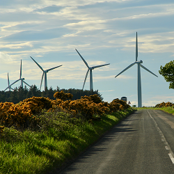 Wind Farm Bird Collision Risk Modelling