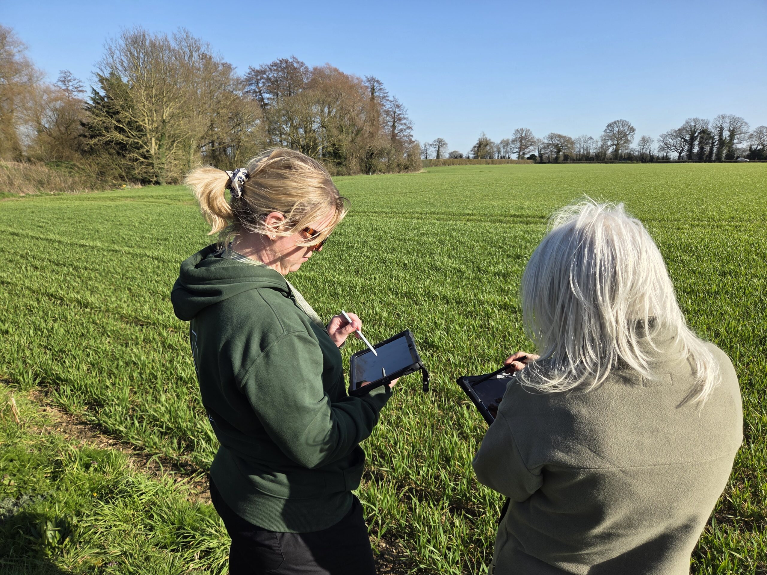 Two people are stood in a field looking away from the camera. They are both looking down at tablet screens.